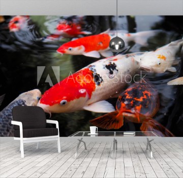 Image de The beautiful koi fish in pond in the garden